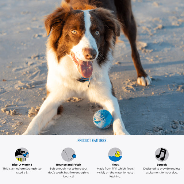 Rogz Squeekz Fetch Ball