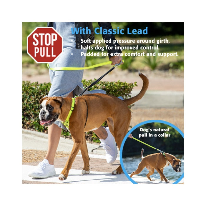 Rogz Stop-Pull Harness