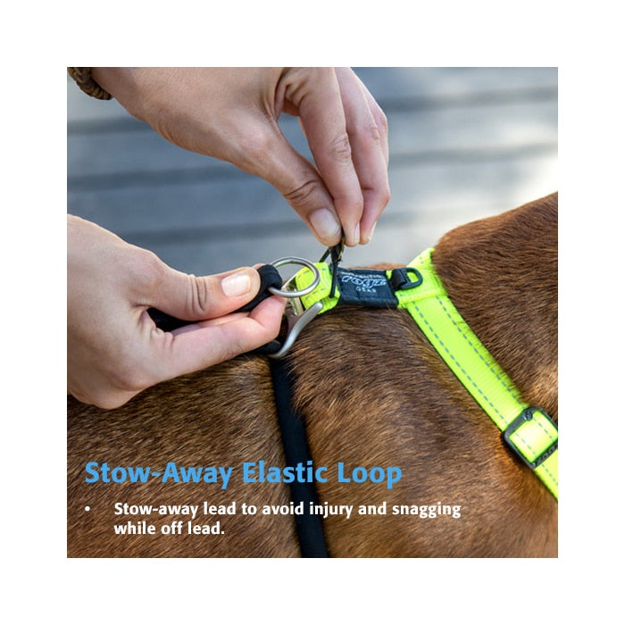 Rogz Stop-Pull Harness