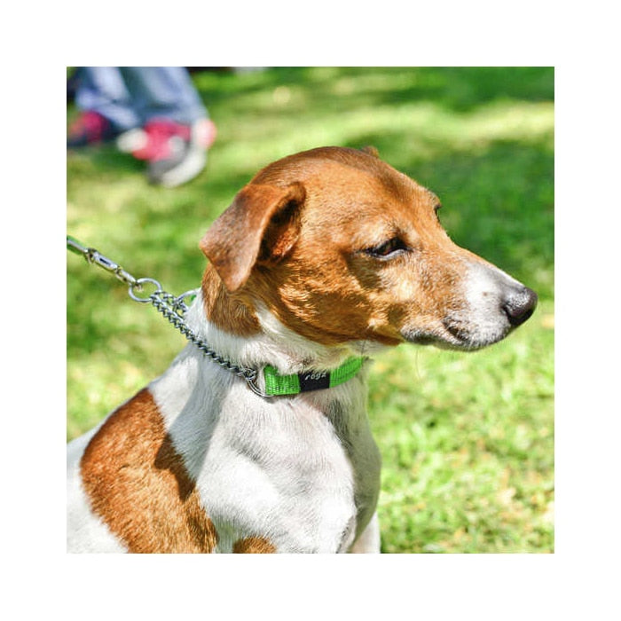 Rogz Utility Obedience Half-Check Collar