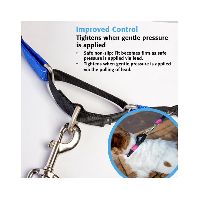 Rogz Control Collar Web