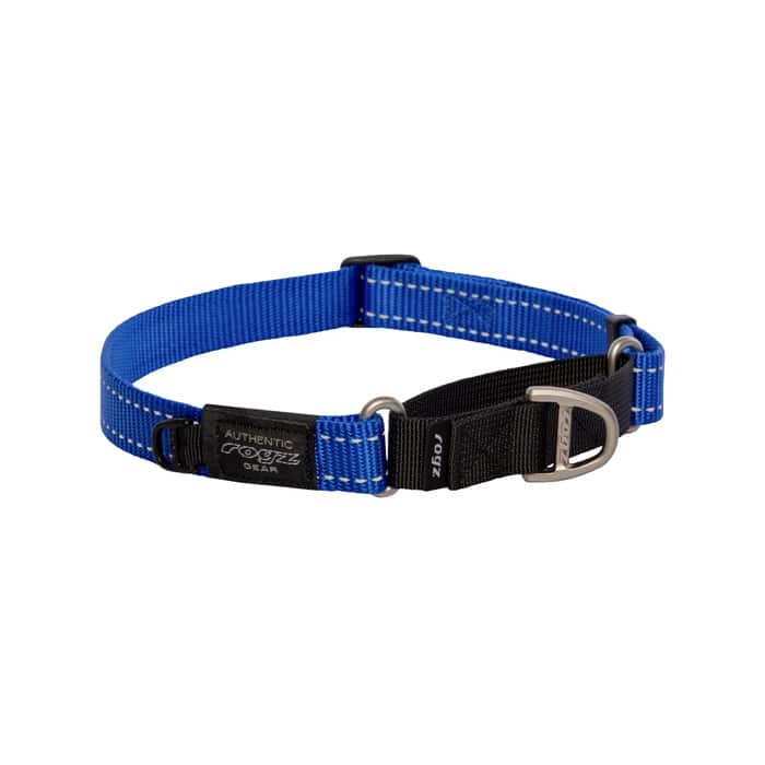 Rogz Control Collar Web