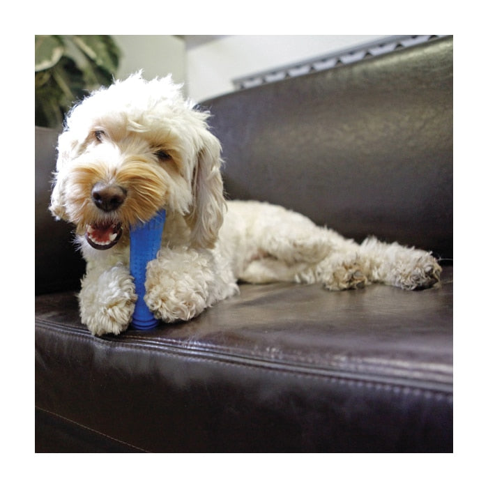 Rosewood Chillax Cool Bone For Dogs