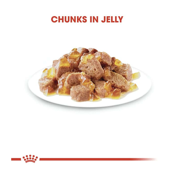 ROYAL CANIN Adult Instinctive in Jelly Wet Cat Food (12 x 85g)