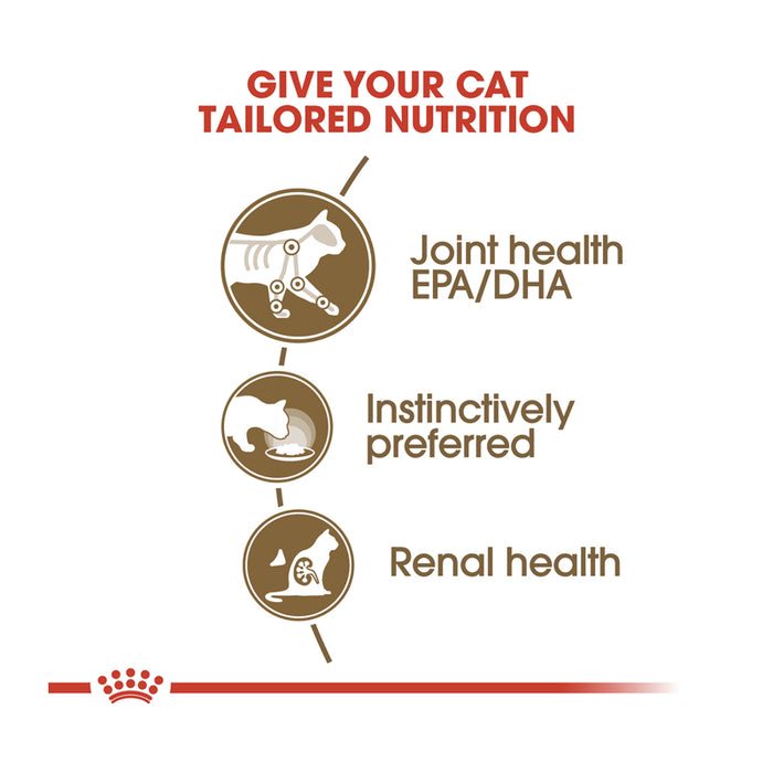 ROYAL CANIN Ageing 12+ Gravy Wet Cat Food (12 x 85g)