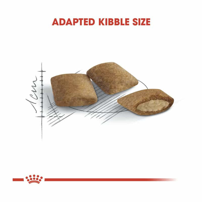 ROYAL CANIN Ageing 12+ Mature Dry Cat Food