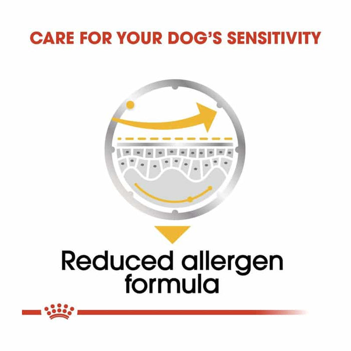 ROYAL CANIN All Breed Dermacomfort Wet Dog Food Loaf (12 x 85g)