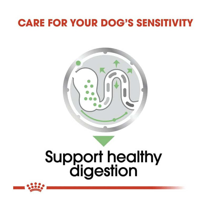 ROYAL CANIN All Breed Digestive Care Wet Dog Food Loaf (12 x 85g)