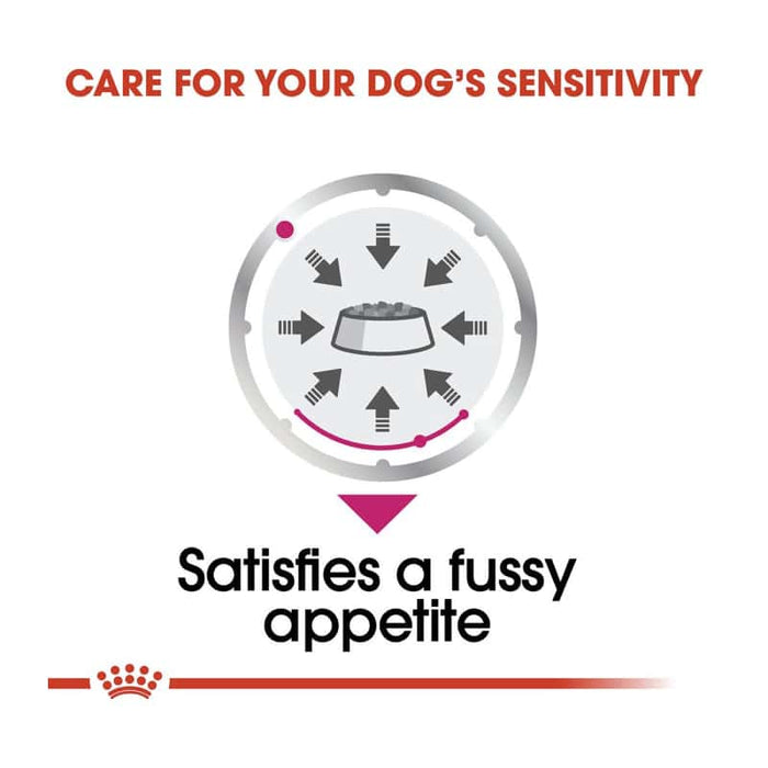 ROYAL CANIN All Breed Exigent Wet Dog Food Loaf (12 x 85g)