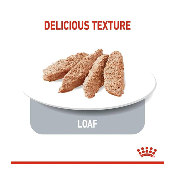 ROYAL CANIN All Breed Light Weight Care Wet Dog Food Loaf (12 x 85g)