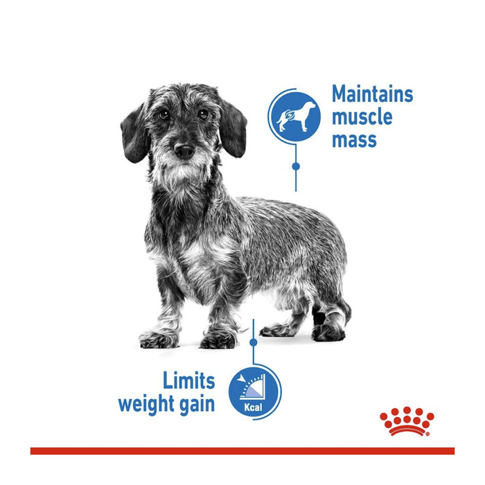 ROYAL CANIN All Breed Light Weight Care Wet Dog Food Loaf (12 x 85g)