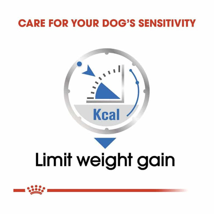 ROYAL CANIN All Breed Light Weight Care Wet Dog Food Loaf (12 x 85g)