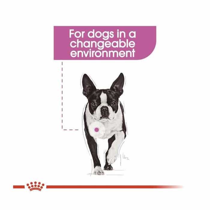 ROYAL CANIN All Breed Relax Care Wet Dog Food Loaf (12 x 85g)