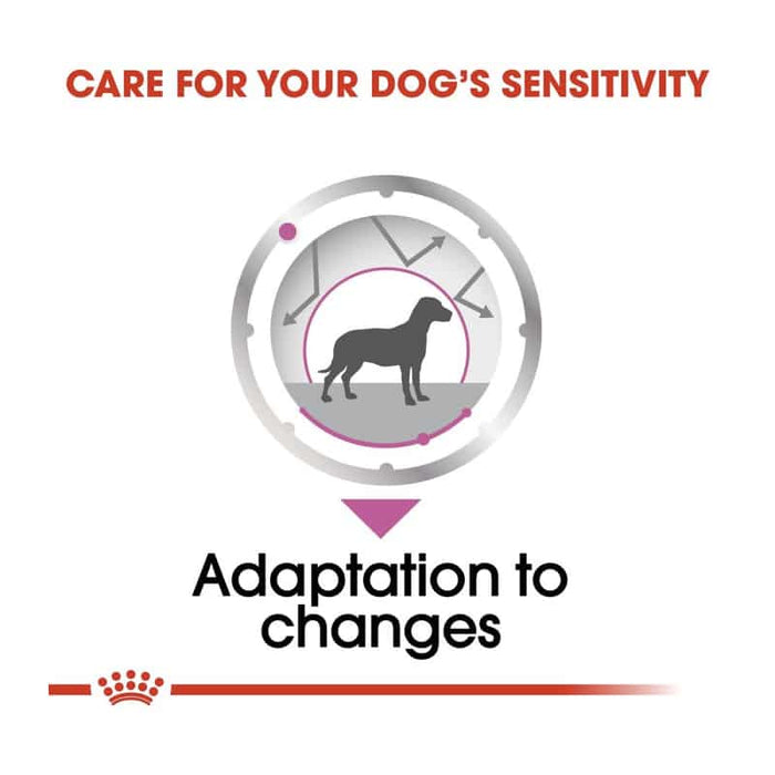 ROYAL CANIN All Breed Relax Care Wet Dog Food Loaf (12 x 85g)