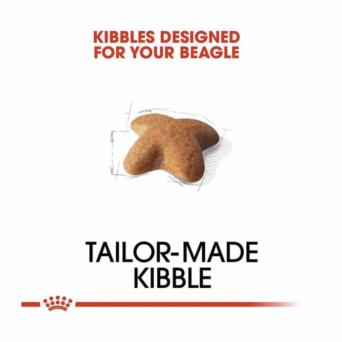 Royal Canin Beagle Adult Dog Food Dry
