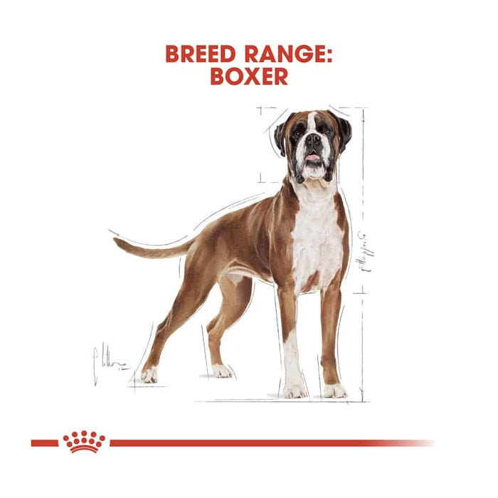 Royal Canin Boxer Adult Dog Food Dry
