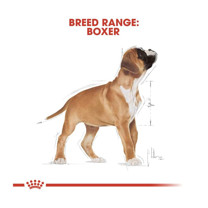 Royal Canin Boxer Puppy Food Dry