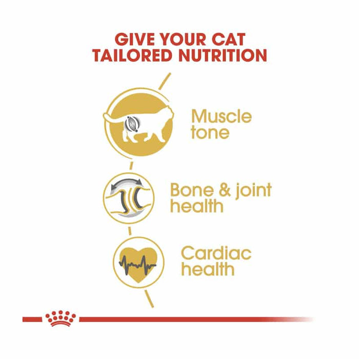 ROYAL CANIN British Shorthair Adult Dry Cat Food