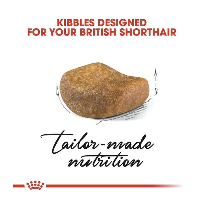 ROYAL CANIN British Shorthair Adult Dry Cat Food