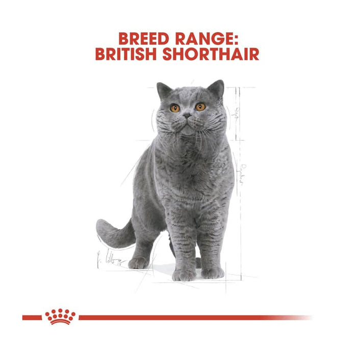 ROYAL CANIN British Shorthair Adult Dry Cat Food