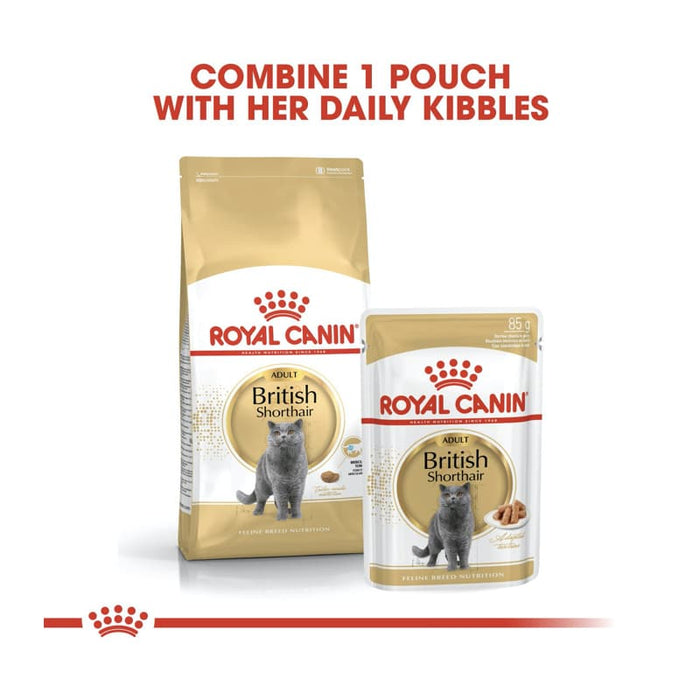 ROYAL CANIN British Shorthair Adult Dry Cat Food