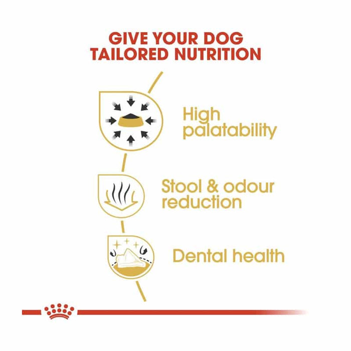 Royal Canin Chihuahua Adult Dog Food Dry