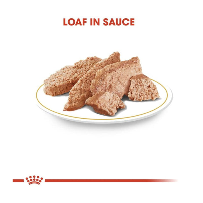 ROYAL CANIN Chihuahua Adult Wet Dog Food Pouch (12 x 85g)