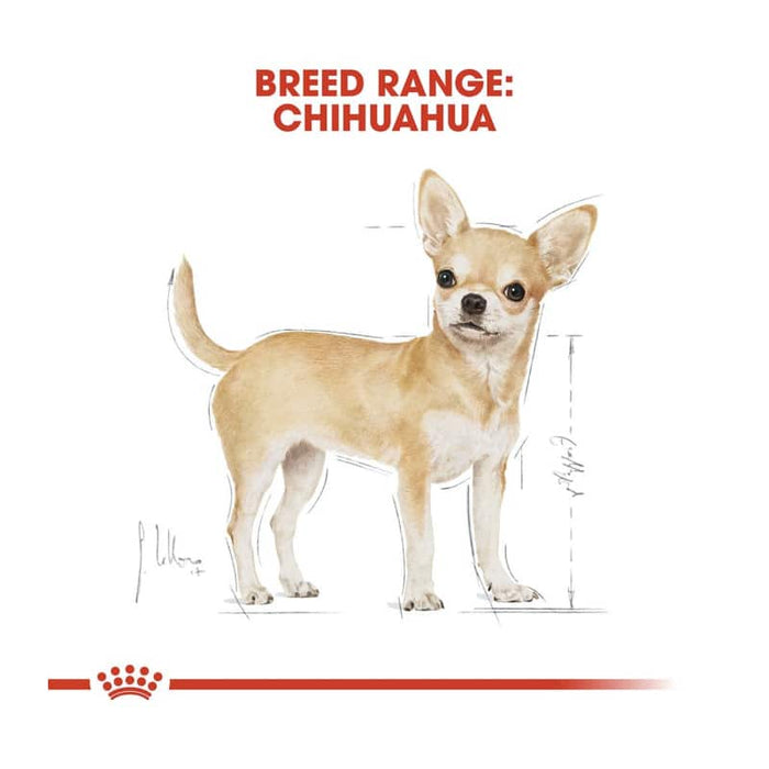 ROYAL CANIN Chihuahua Adult Wet Dog Food Pouch (12 x 85g)