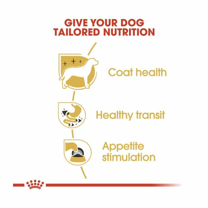 ROYAL CANIN Chihuahua Adult Wet Dog Food Pouch (12 x 85g)