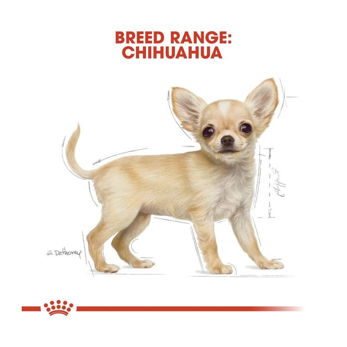 Royal Canin Chihuahua Puppy Food Dry
