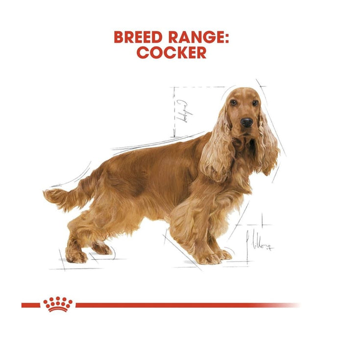 Royal Canin Cocker Adult Dog Food Dry