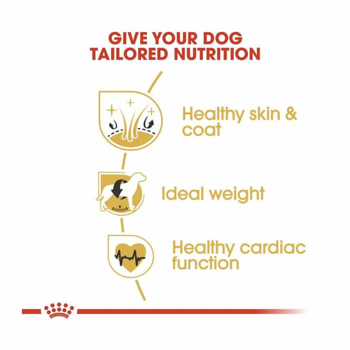 Royal Canin Cocker Adult Dog Food Dry