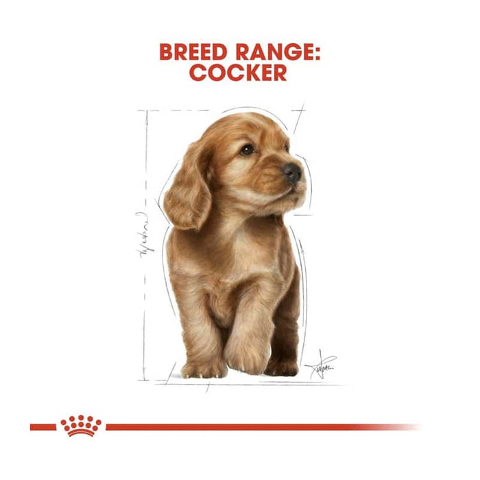 Royal Canin Cocker Puppy Food Dry