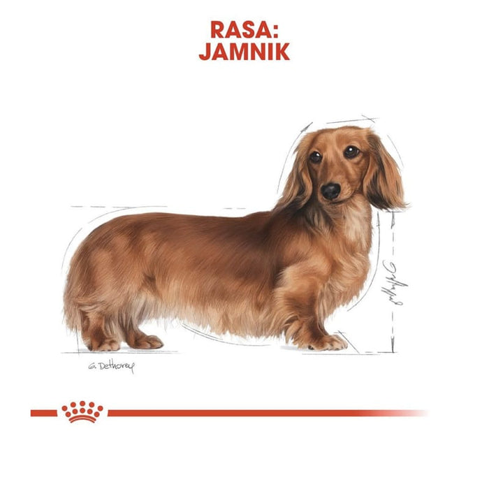 Royal Canin Dachshund Adult Dog Food Dry