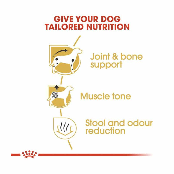 Royal Canin Dachshund Adult Dog Food Dry