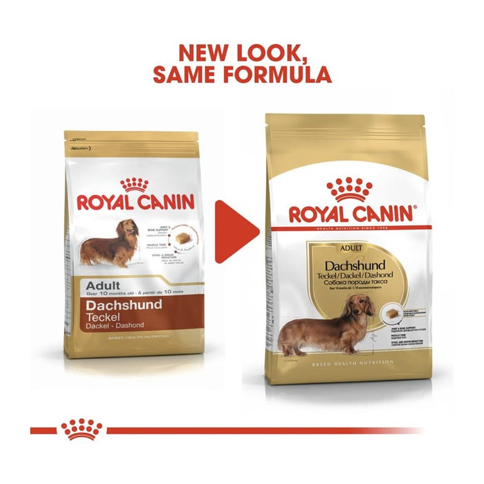 Royal Canin Dachshund Adult Dog Food Dry
