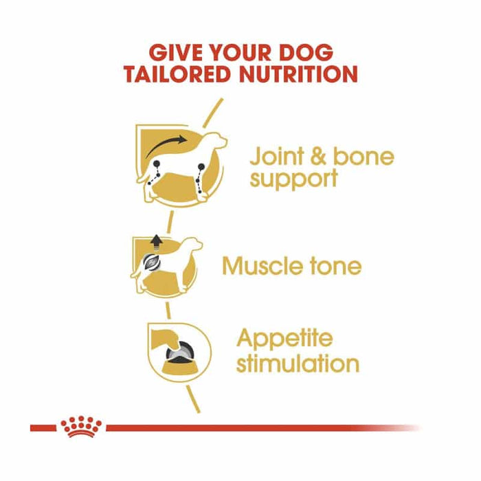 ROYAL CANIN Dachshund Adult Wet Dog Food Pouch (12 x 85g)