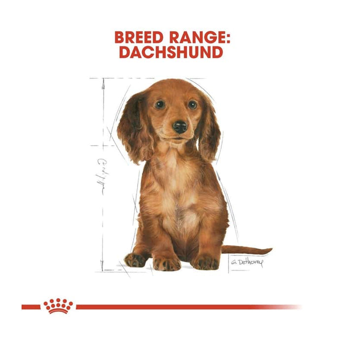 Royal Canin Dachshund Puppy Food Dry