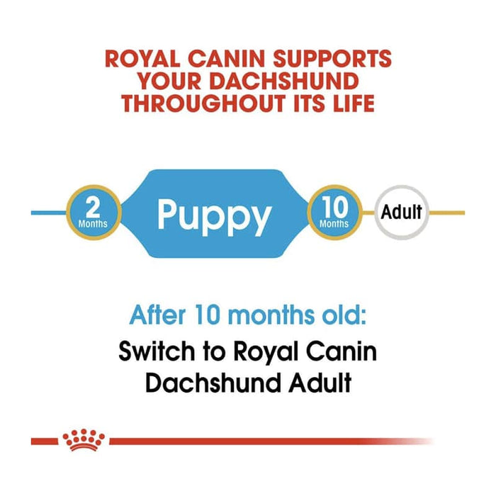 Royal Canin Dachshund Puppy Food Dry