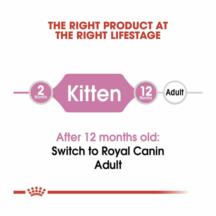 ROYAL CANIN Dry Kitten Food