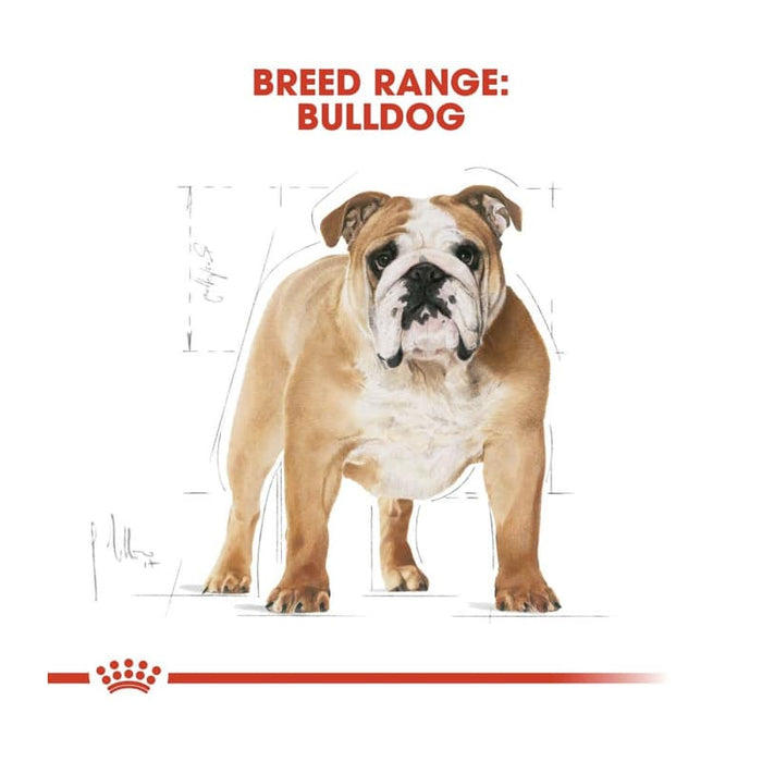 Royal Canin English Bulldog Adult Dog Food Dry