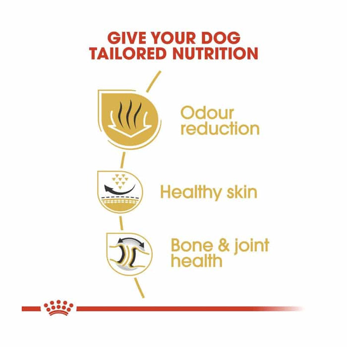 Royal Canin English Bulldog Adult Dog Food Dry