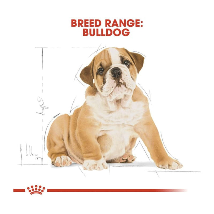 Royal Canin English Bulldog Puppy Food Dry