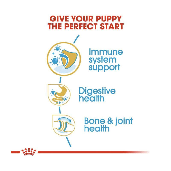 Royal Canin English Bulldog Puppy Food Dry