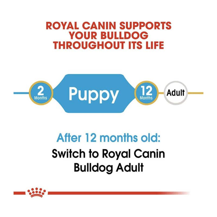 Royal Canin English Bulldog Puppy Food Dry