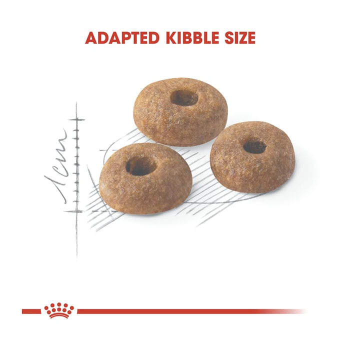 ROYAL CANIN Fit 32 Adult Dry Cat Food