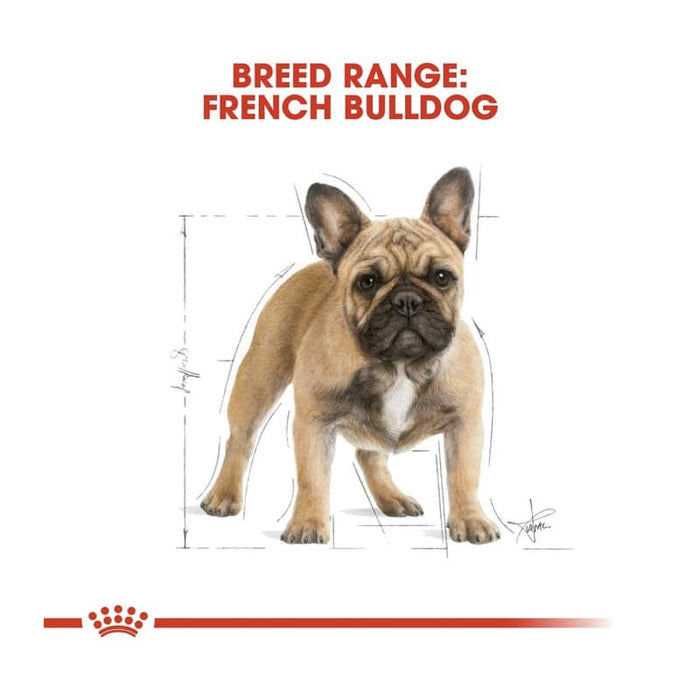 Royal Canin French Bulldog Adult Dog Food Dry