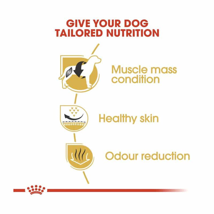 Royal Canin French Bulldog Adult Dog Food Dry