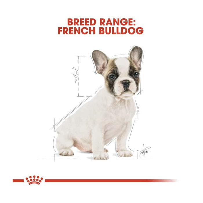 Royal Canin French Bulldog Puppy Food Dry