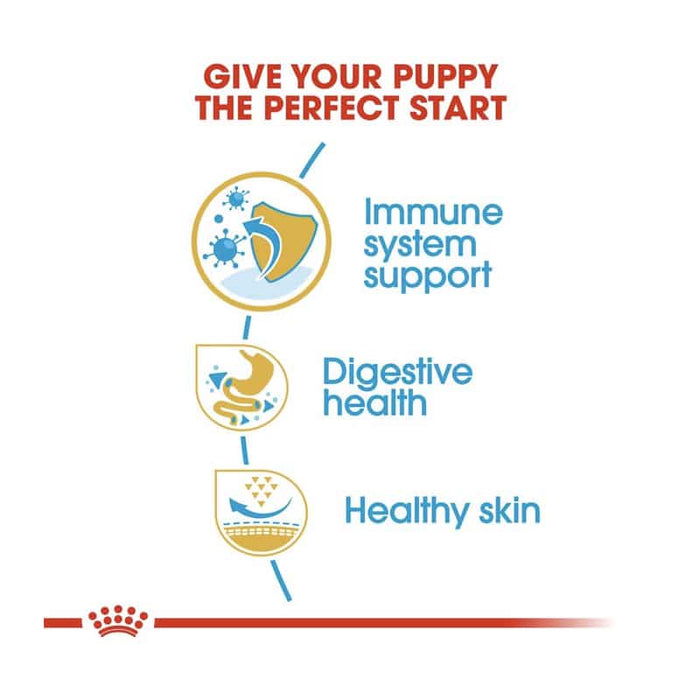 Royal Canin French Bulldog Puppy Food Dry